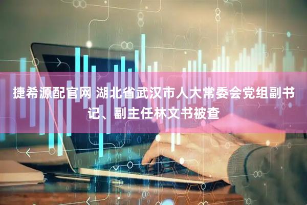 捷希源配官网 湖北省武汉市人大常委会党组副书记、副主任林文书被查