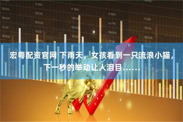 宏粤配资官网 下雨天，女孩看到一只流浪小猫，下一秒的举动让人泪目……