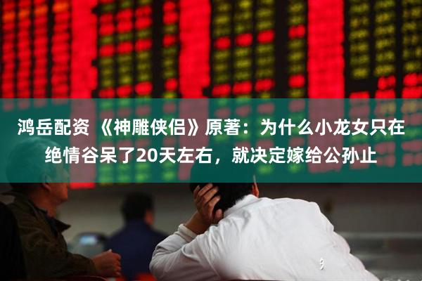 鸿岳配资 《神雕侠侣》原著：为什么小龙女只在绝情谷呆了20天左右，就决定嫁给公孙止